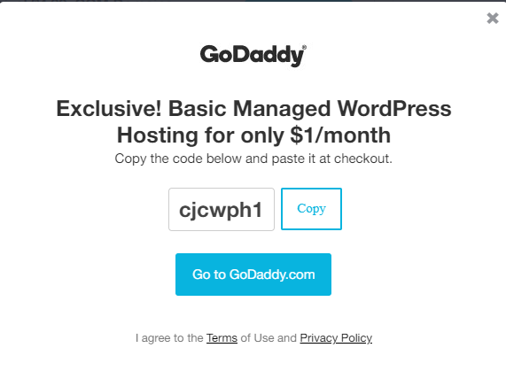 Help Your Clients By Helping Yourself with A $12 WordPress Website & Hosting 